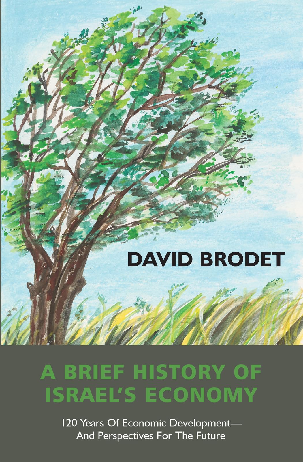 A Brief History of Israels Economy : 120 Years of Economic Development - And Perspectives for the Future