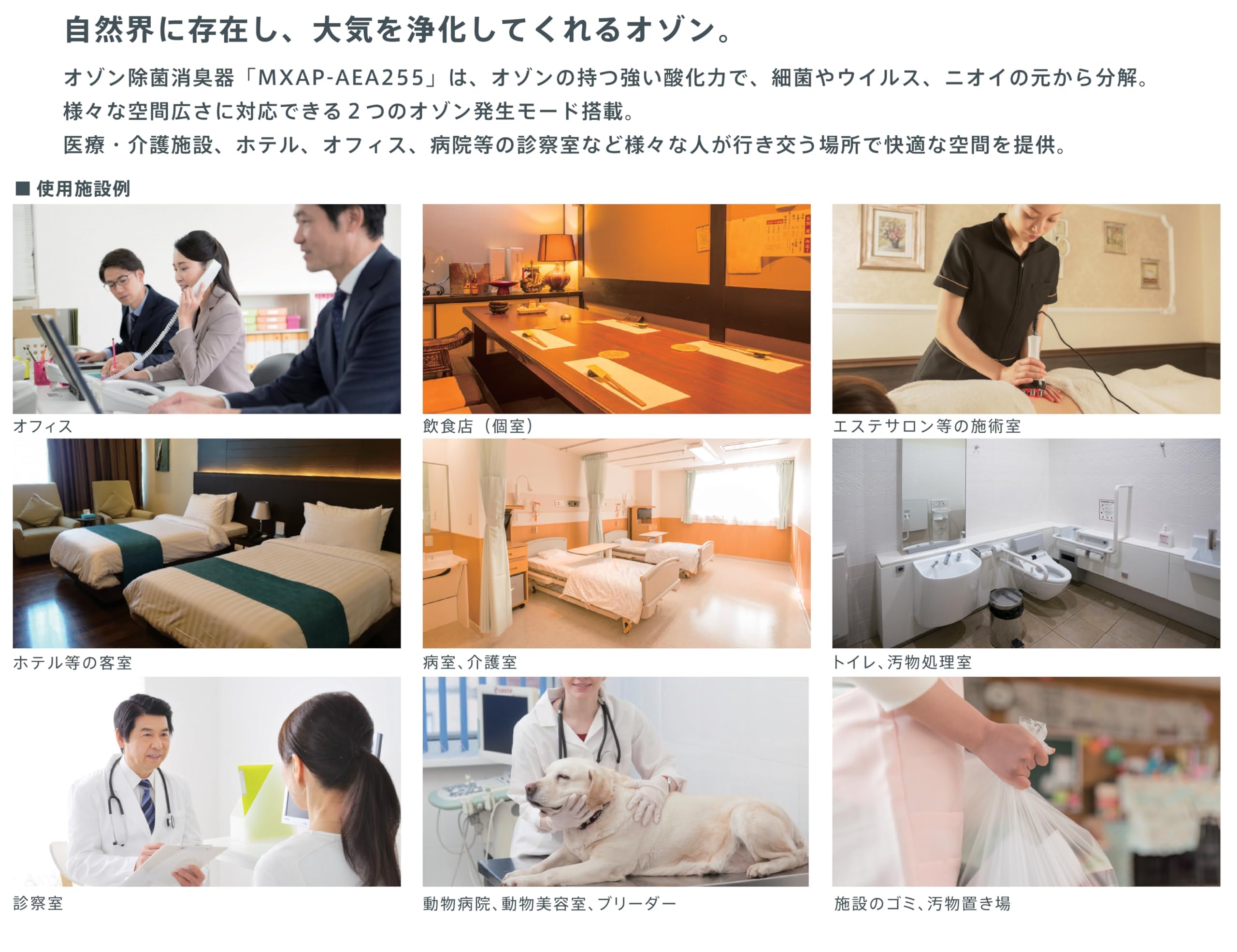 Amazon | 除菌消臭器 業務用オゾネオ 日本製 | ノーブランド品 | 脱臭機