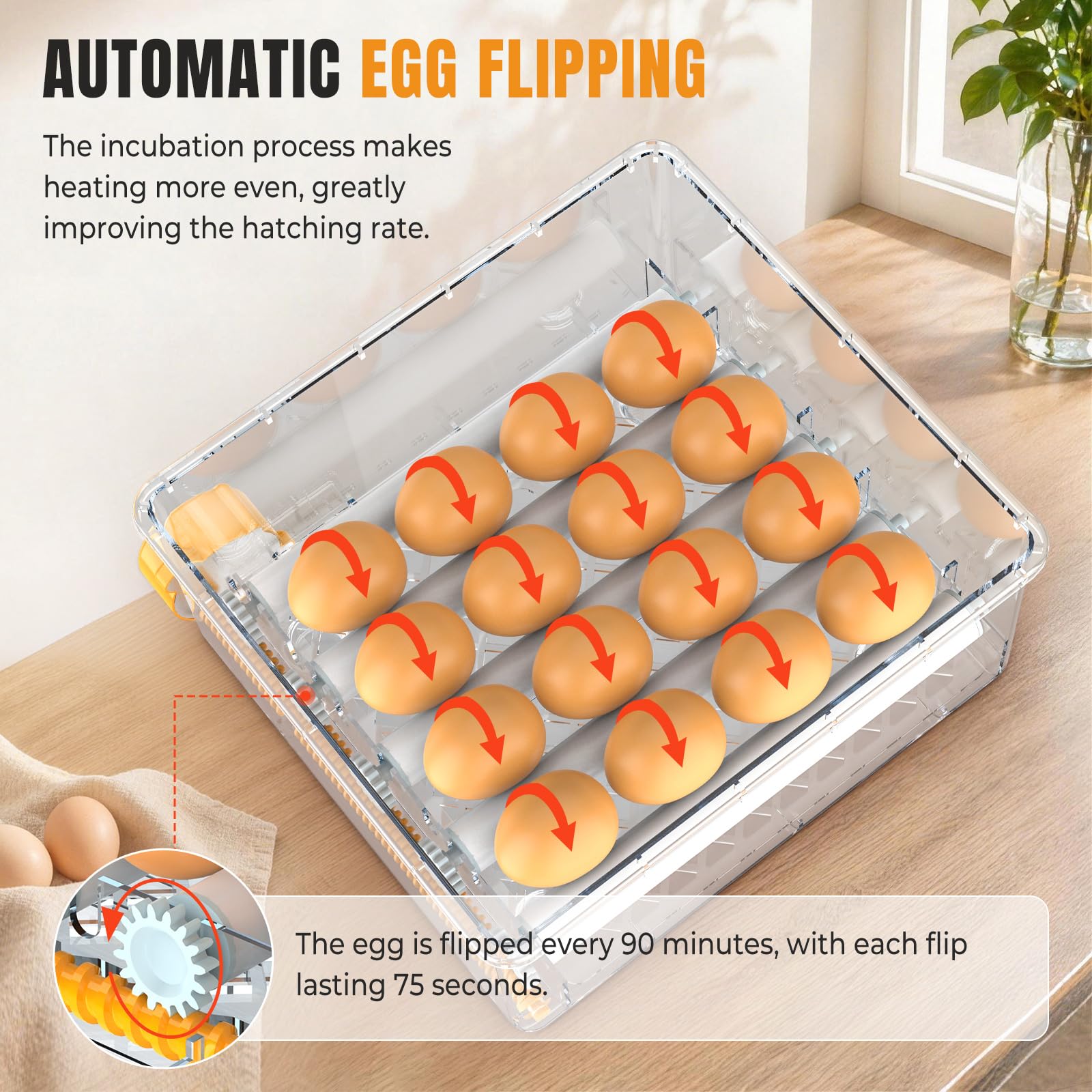 Incubadora Huevos Gallina Automática 16-120 Huevos, Incubadora con Volteo Automático y Adición de Agua, 12V/220V Dual, Pantalla LED, Control de Temperatura y Ovoscopio para Aves, Codorniz (16 Huevos)