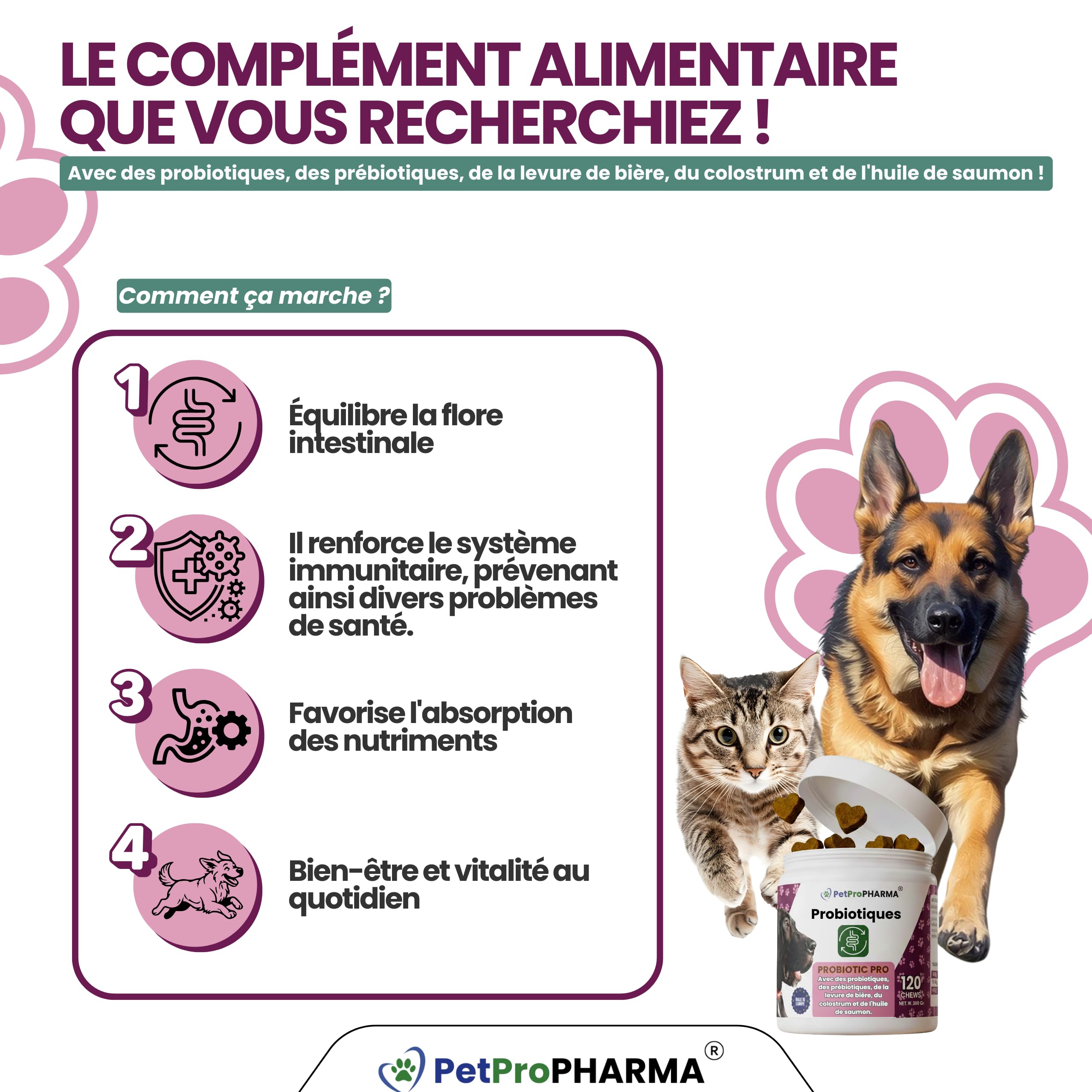 Probiotique Chien et Chat – Souches Actives + Prébiotiques Naturels | Flore Intestinale, Digestion, Selles Régulières, Immunité Renforcée | Complément Digestion & Santé Intestinale
