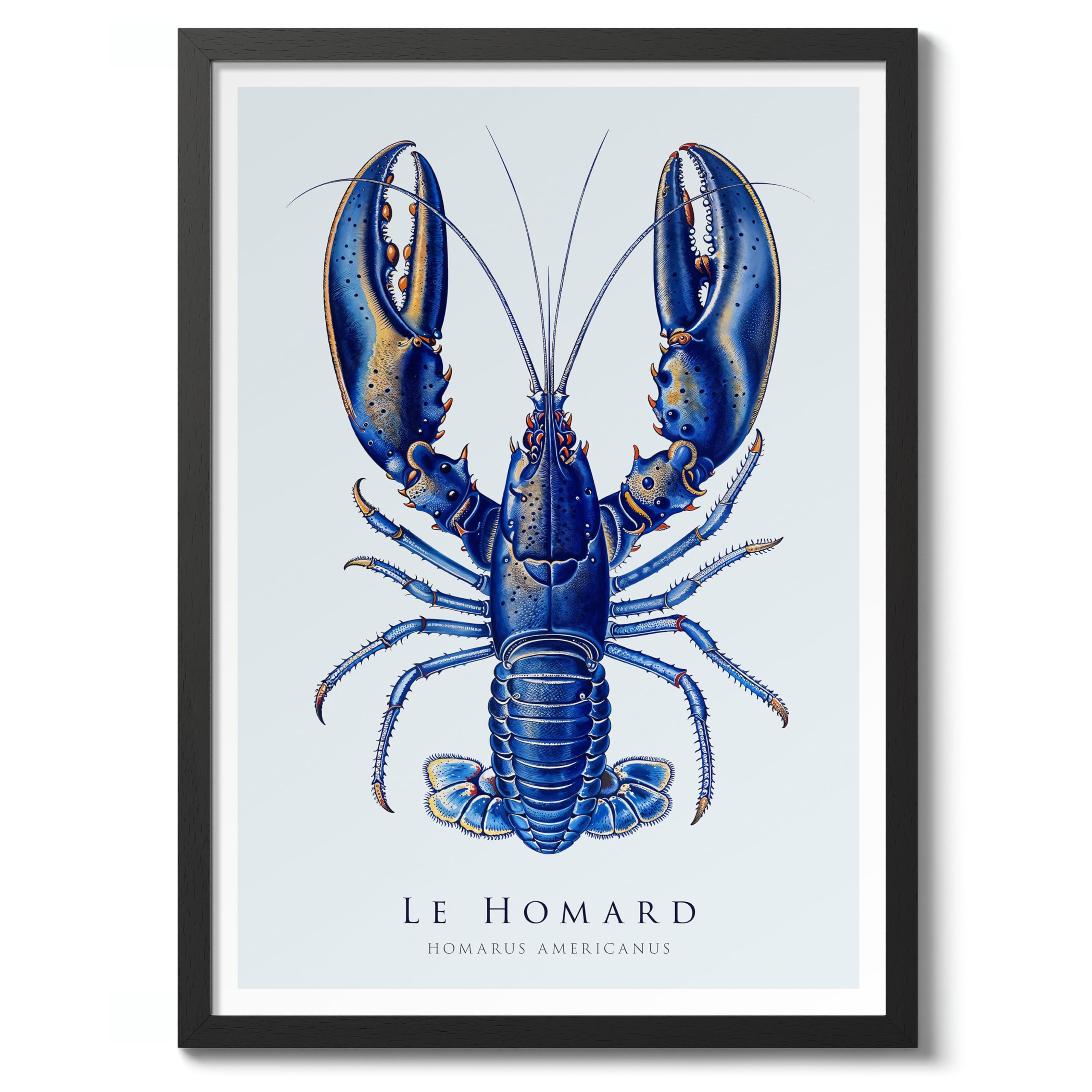 Lobster Nautical Exhibition Art Print, Vintage Botanical Prints, Retro Sealife Oceanography Illustration Wall Art Pictures, Nature Bathroom Home Decor, A1 (Black Frame) - 86.9x62.4cm