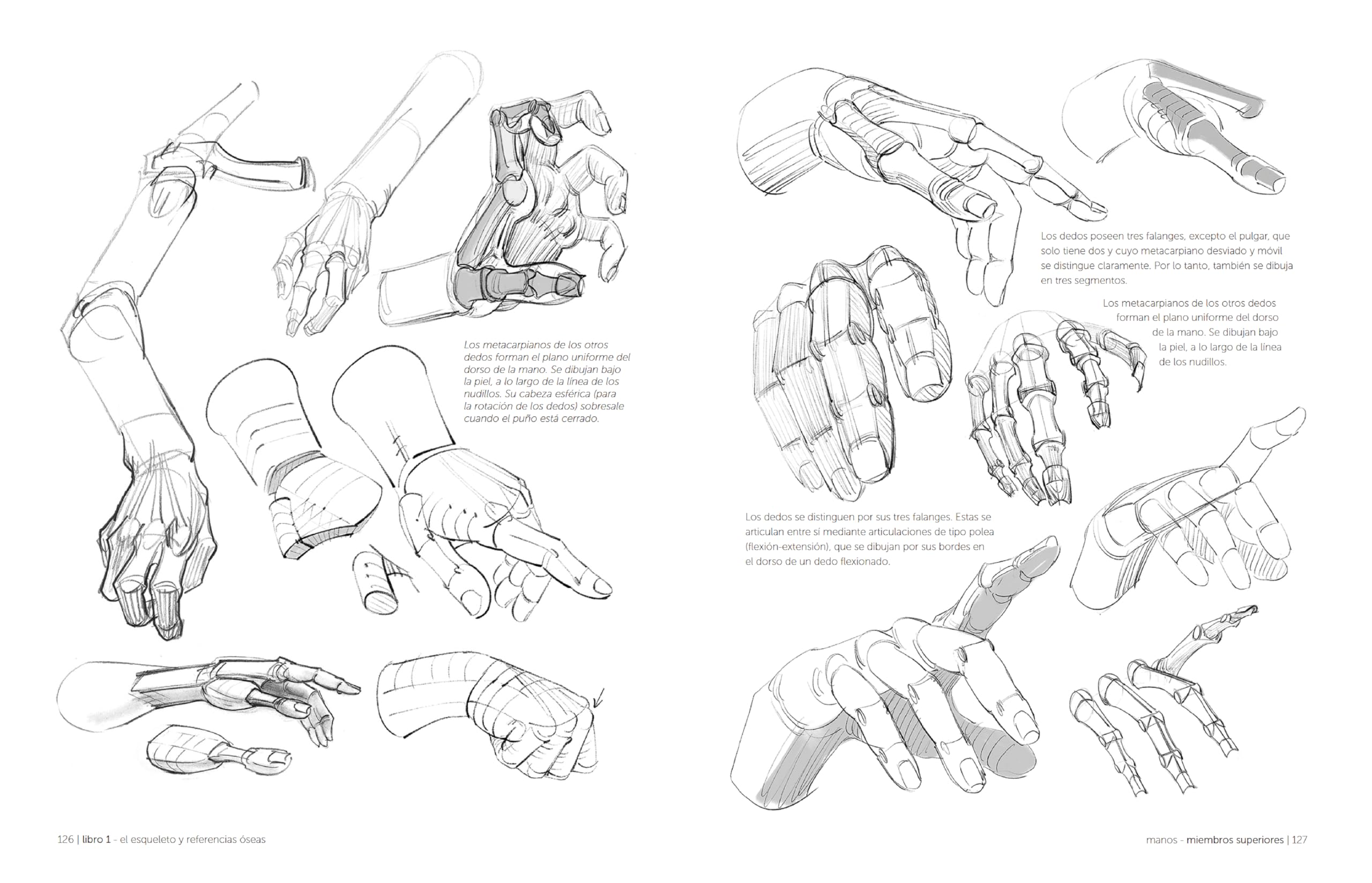 Anatomía artística: Antología