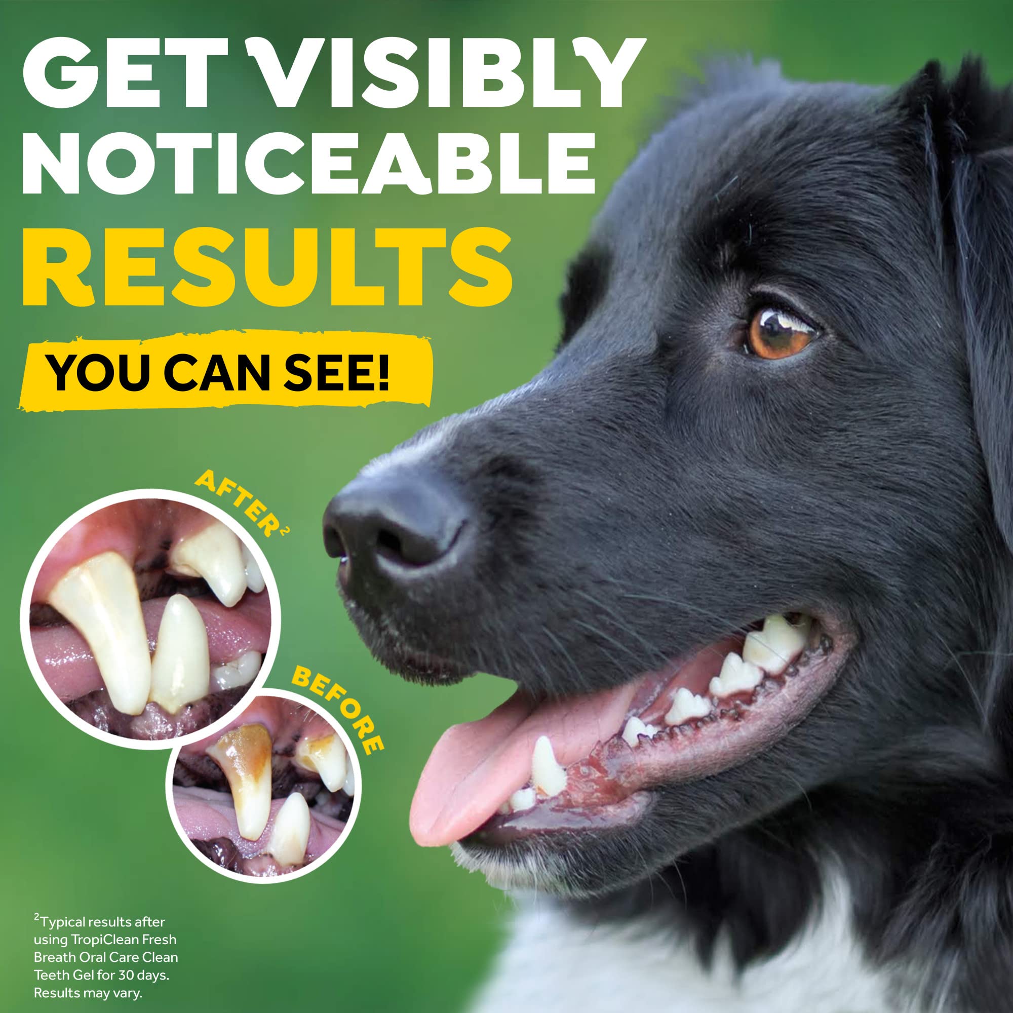 Fresh Breath von TropiClean Dental Trial Kit