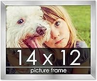 Vista 193 de Marco de 28 x 36 pulgadas de madera de peltre plateado con plexiglás acrílico UV, parte trasera de tablero de espuma y accesorios incluidos