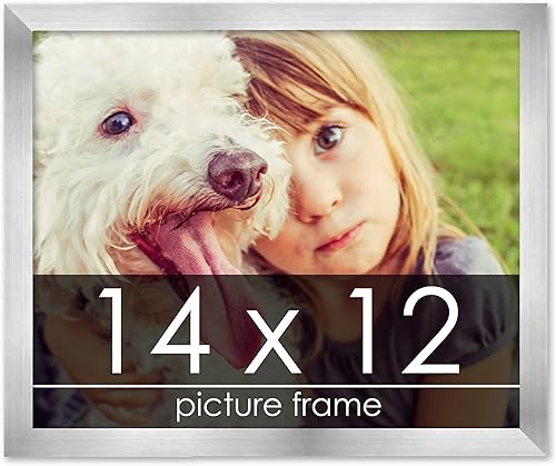 Miniatura 193 de Marco de 28 x 36 pulgadas de madera de peltre plateado con plexiglás acrílico UV, parte trasera de tablero de espuma y accesorios incluidos