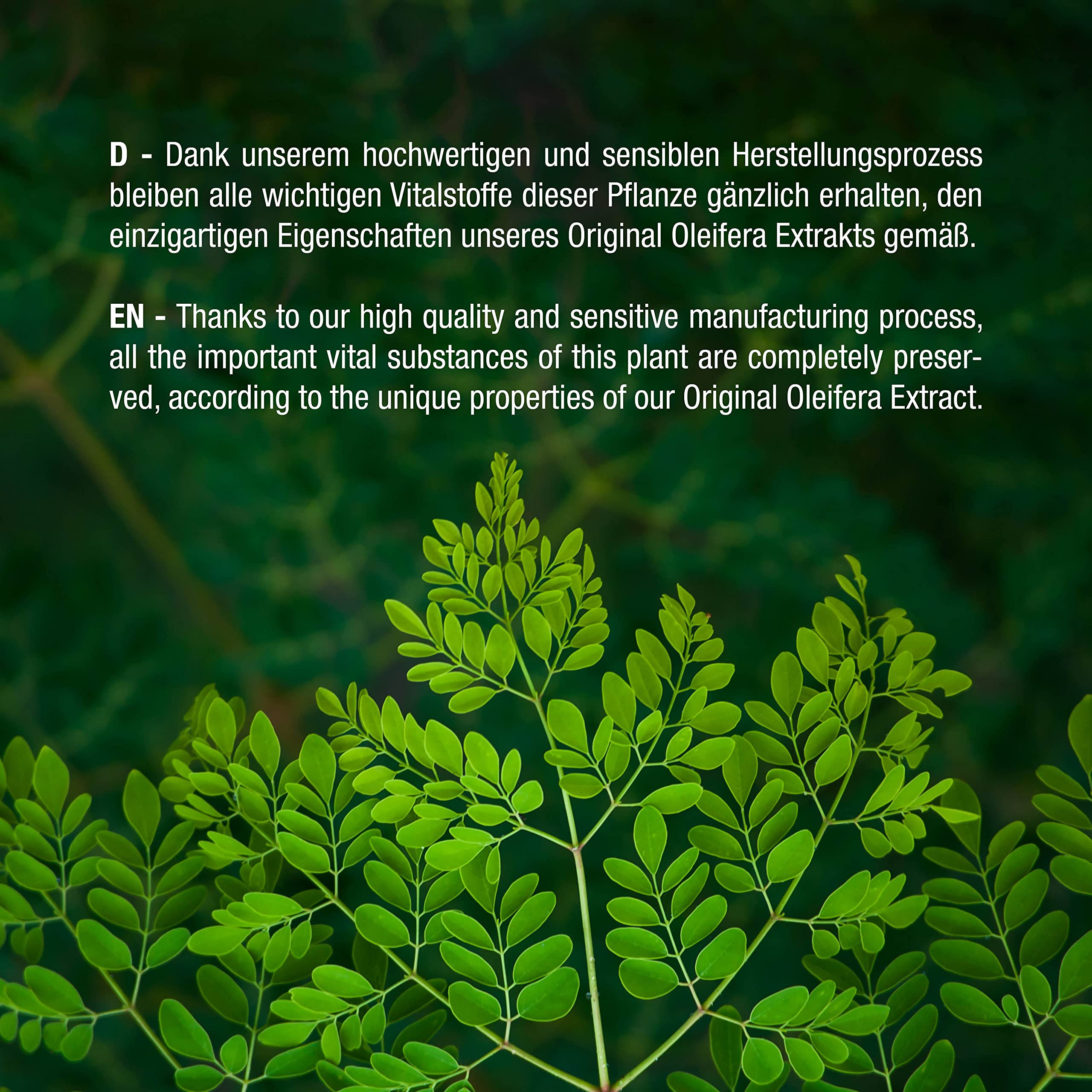 Vitabay Original Moringa Oleifera • 5000 mg PRO Kapsel • 120 Kapseln • Naturbelassen • Hochdosiert • Einmaliges Spektrum an natürlichen Nährstoffen • XXL-Packung