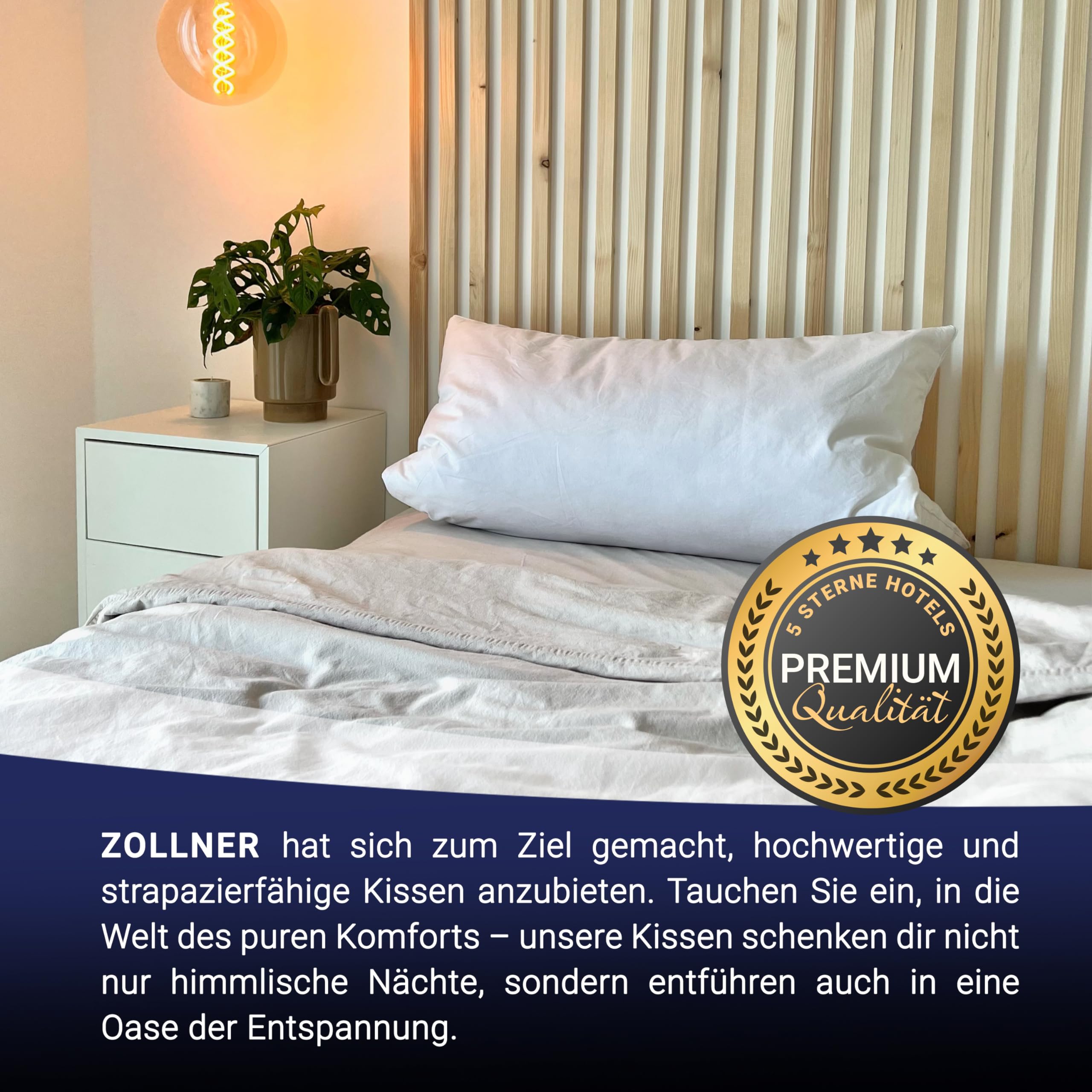 ZOLLNER Premium Federkissen mit Daunenanteil - Made in Germany – für Allergiker geeignet – Bezug aus hochwertiger Mako Baumwolle - waschbar bis 60°C – 80x80 cm - Hotelqualität