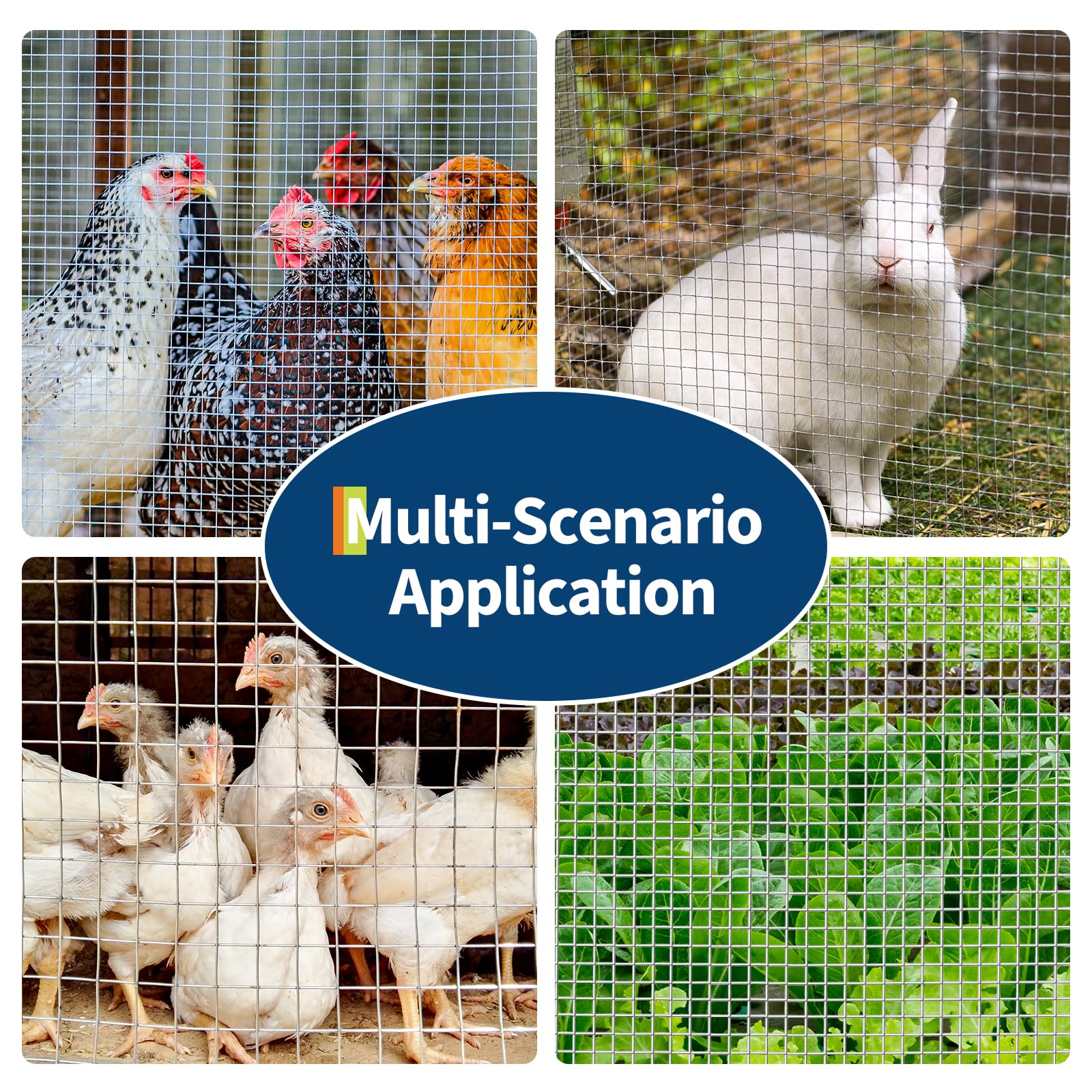 Grillage de jardin galvanisé – Maille carrée 1/2 pouce, 19Ga, rouleau métallique robuste – Parfait pour enclos à poules, cages à lapin, clôtures extensionérieures – Protection plantes, aménagement