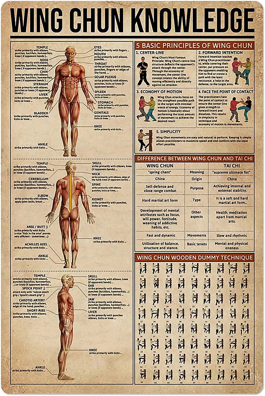 rayprint Kung Fu Knowledge Metal Tin Sign Wing Chun Anatomy Infographic Poster Martial Arts Gym Club Home Bedroom School Education Wall Decoration 8x12 Inches