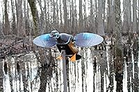 Vista 4 de MOJO Outdoors - Premium Waterfowl and Duck Hunting Decoys