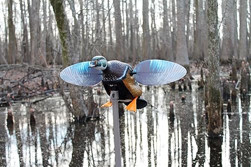 Miniatura 4 de MOJO Outdoors - Premium Waterfowl and Duck Hunting Decoys