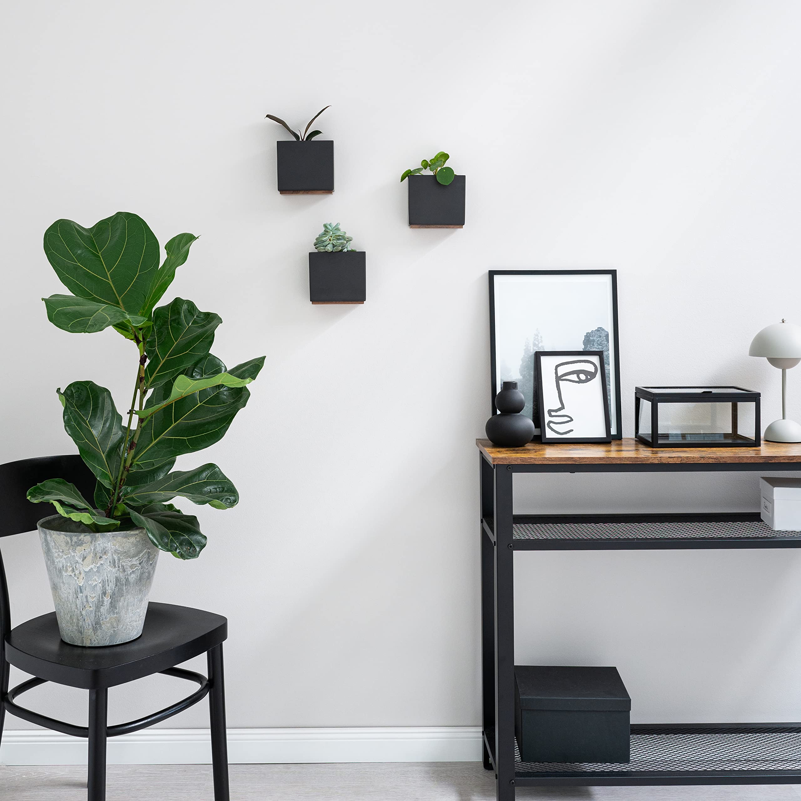 Kazai. Wandvasen -Alma- | Moderne Hängende Blumentöpfe für die Wand | 3-teiliges Übertopf-Set aus hochwertigem Resin für Zimmerpflanzen, Kunstpflanzen, Blumen u.m. | Schwarz