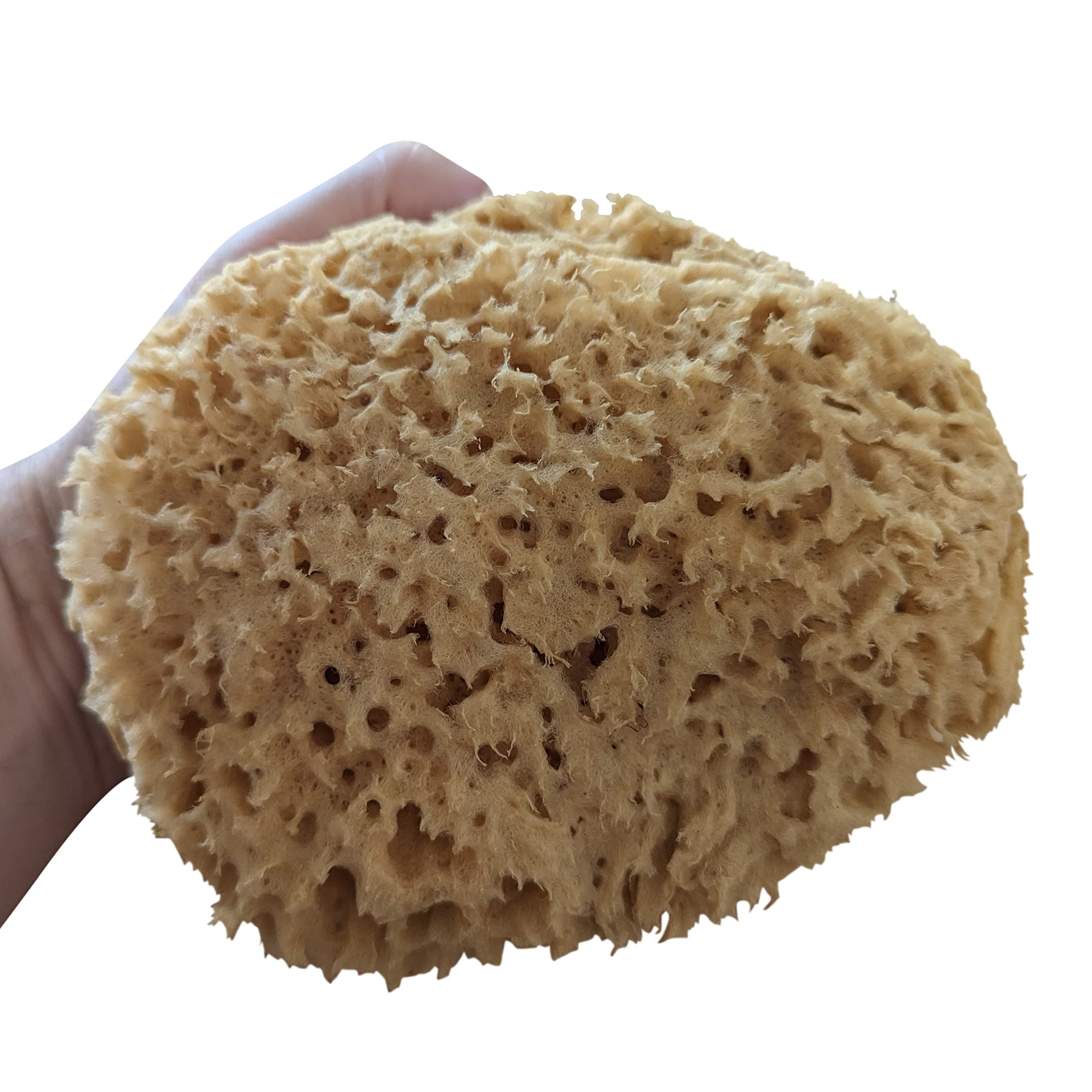 Unbleached Honeycomb Natural Sea Sponge - 100% Natural, Organic, Strong, Durable, Hypoallergenic -for Children & Adults - Used in Bath, Shower, Cleansing (Large (6-6.5"/15-16cm), Pack of 4)