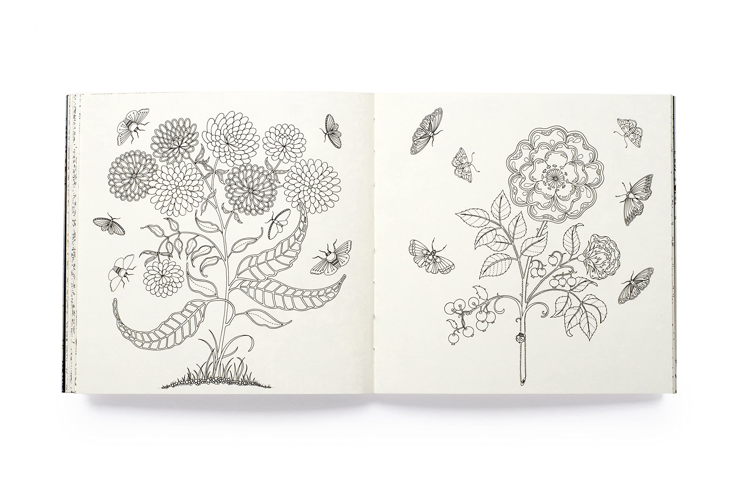 Miniature Secret Garden /anglais: A Pocket-Sized Coloring Book for Adults