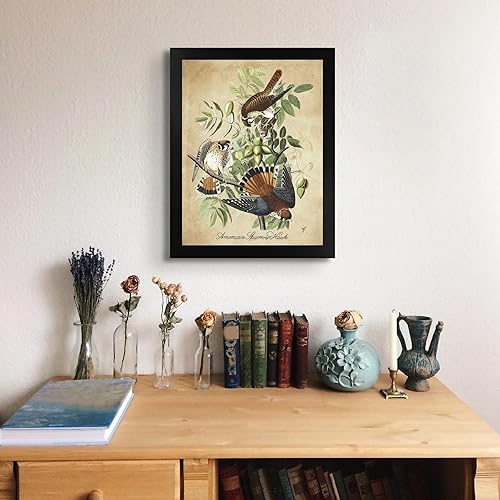 Vista 60 de Towee Bunting by James Audubon - Marco biselado negro de 12 x 16 pulgadas, decoración artística enmarcada para pared, reproducción de pinturas