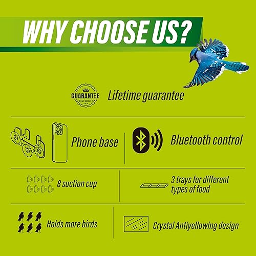 Miniatura 2 de Comedero para pájaros de ventana para exteriores con ventosas fuertes, soporte para teléfono y control remoto, toma fotos y videos de pájaros