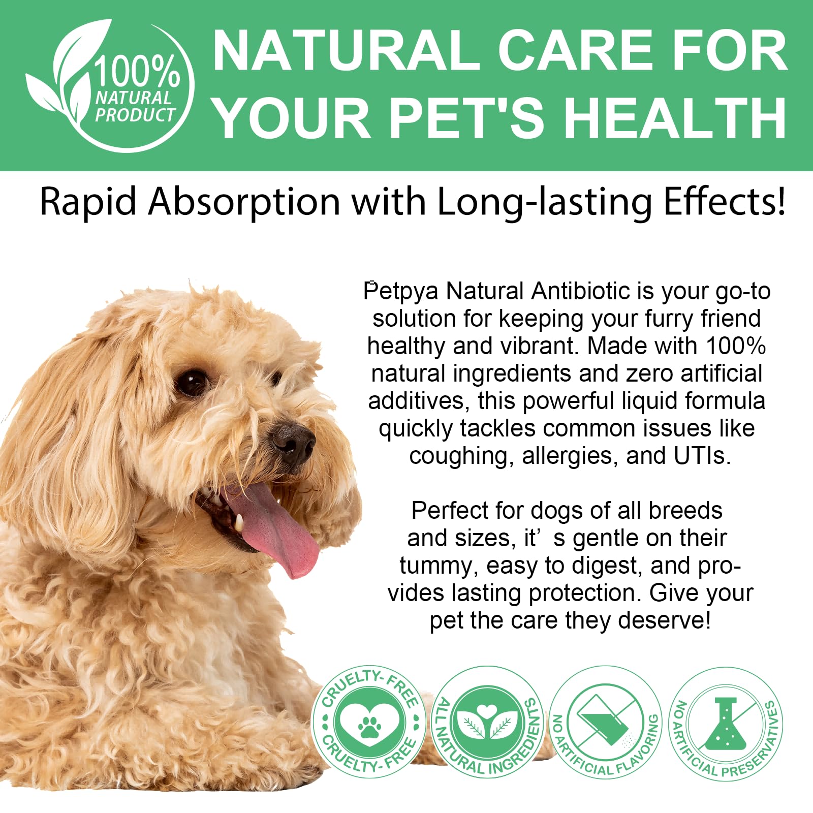 Hund Antibiotika, Natürliche Antibiotika für Hunde 60ml, Antibiotika für Hunde, juckende Haut Relief, Unterstützt Allergie Relief, Hund Antibiotika für Haut Infektion - Bacon Flavor - 2 Stück