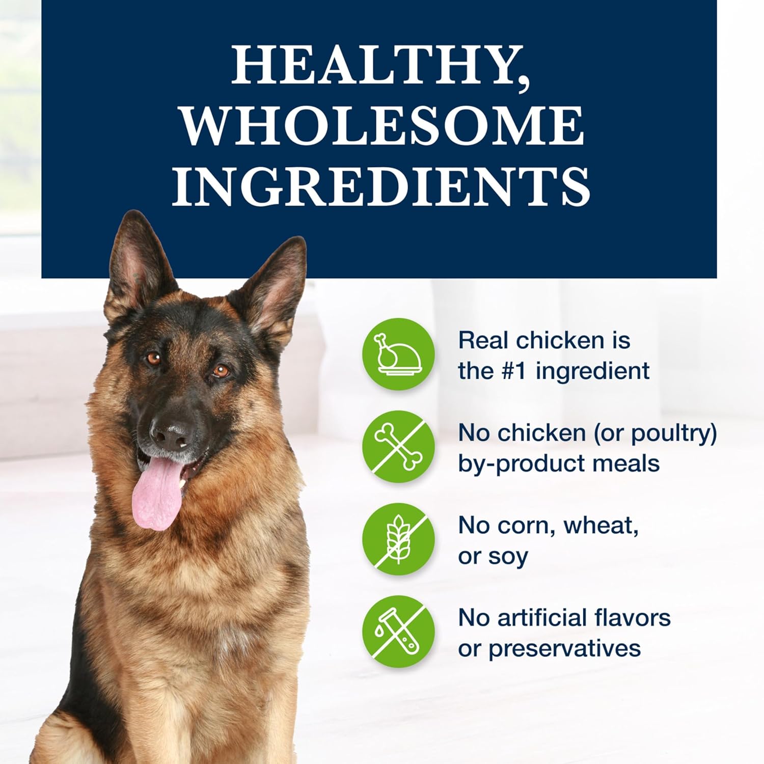 Blue Buffalo Natural Veterinary Diet Gastrointestinal Support Wet Dog Food, Veterinarian Prescription Required, Chicken, 12.5-oz. Cans (12 Count)