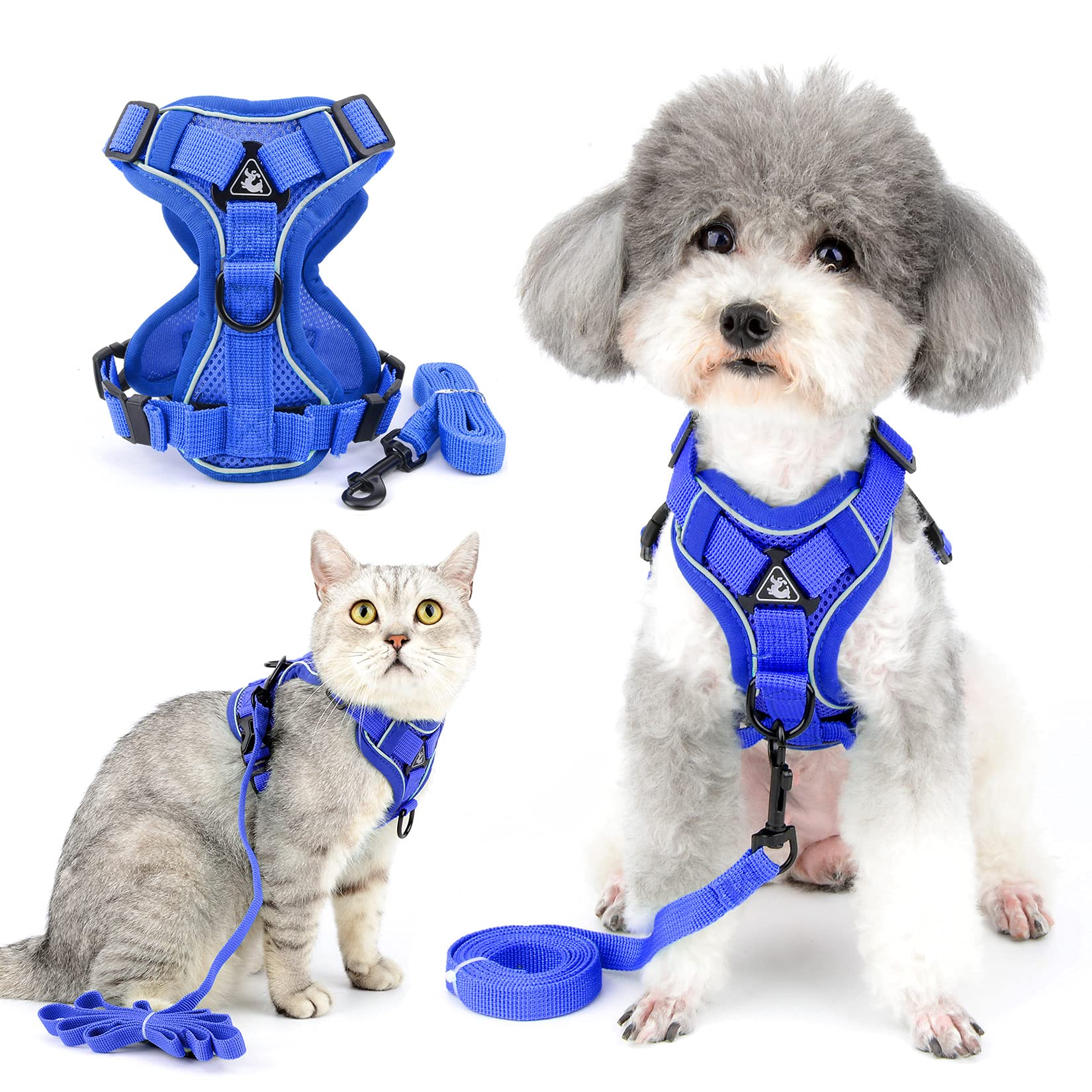 Ranphy No Pull Small Dog Harnesss and Leash Set Reflective Pet Step In Vest Escape Proof Puppy Cat Harnesses Breathable Adjusatble Chest Harness Walking Jacket for Outdoor Trainning