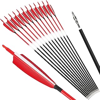 ZSHJGJR 30inch Carbon Arrow Archery Hunting Target Practice Arrows 500 Spine with Removable Tips Turkey Feather Fletching for Compound Bow and Recurve Bow 6/12pcs (12pcs, red)