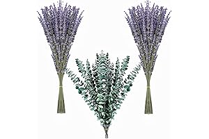 TImoo Dried Lavender Bundles: Tranquil Eucalyptus Bouquet