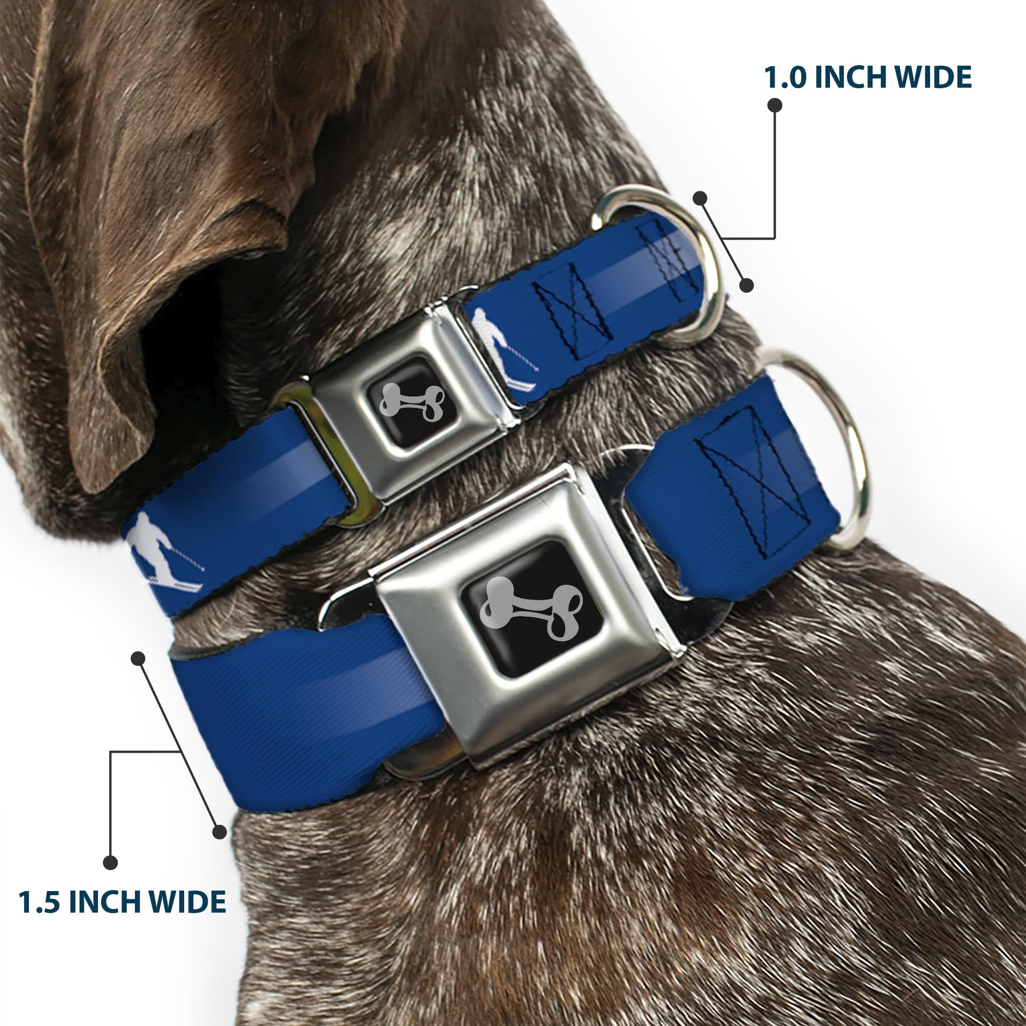 Buckle-Down DC-W35511-WM - Cinturón de Seguridad para Perro, Talla M, Color Azul, Blanco, Rojo y Amarillo