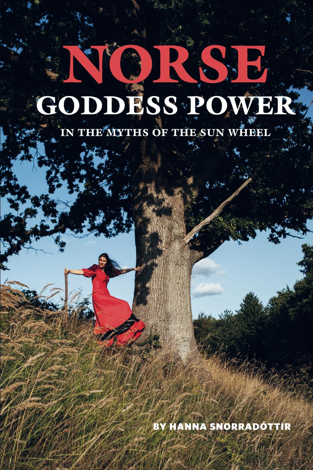 Norse Goddess Power: In the Myths of The Sun Wheel