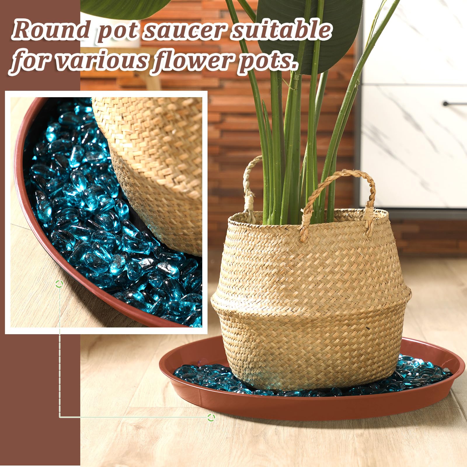 Eccliy 6 Pack Plastic Plant Saucer Heavy Duty Planter