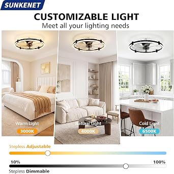 Ceiling Fan with Light with Remote, 60cm Black Ceiling Fan Light [Energy Class E]