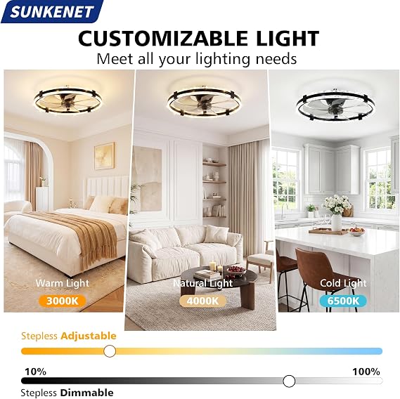 Ceiling Fan with Light with Remote, 60cm Black Ceiling Fan Light [Energy Class E]