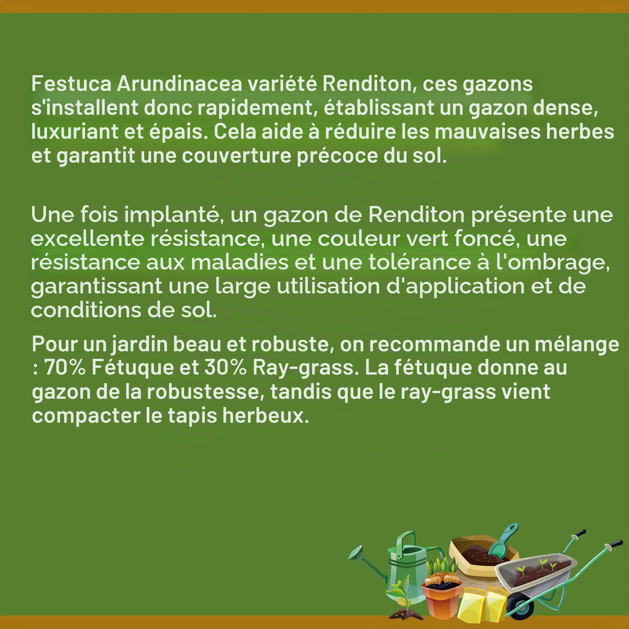 FESTUCA ARUNDINACEA avec RHIZO | Gazon | Il Contadino - Antiche Sementi (5 Kg)
