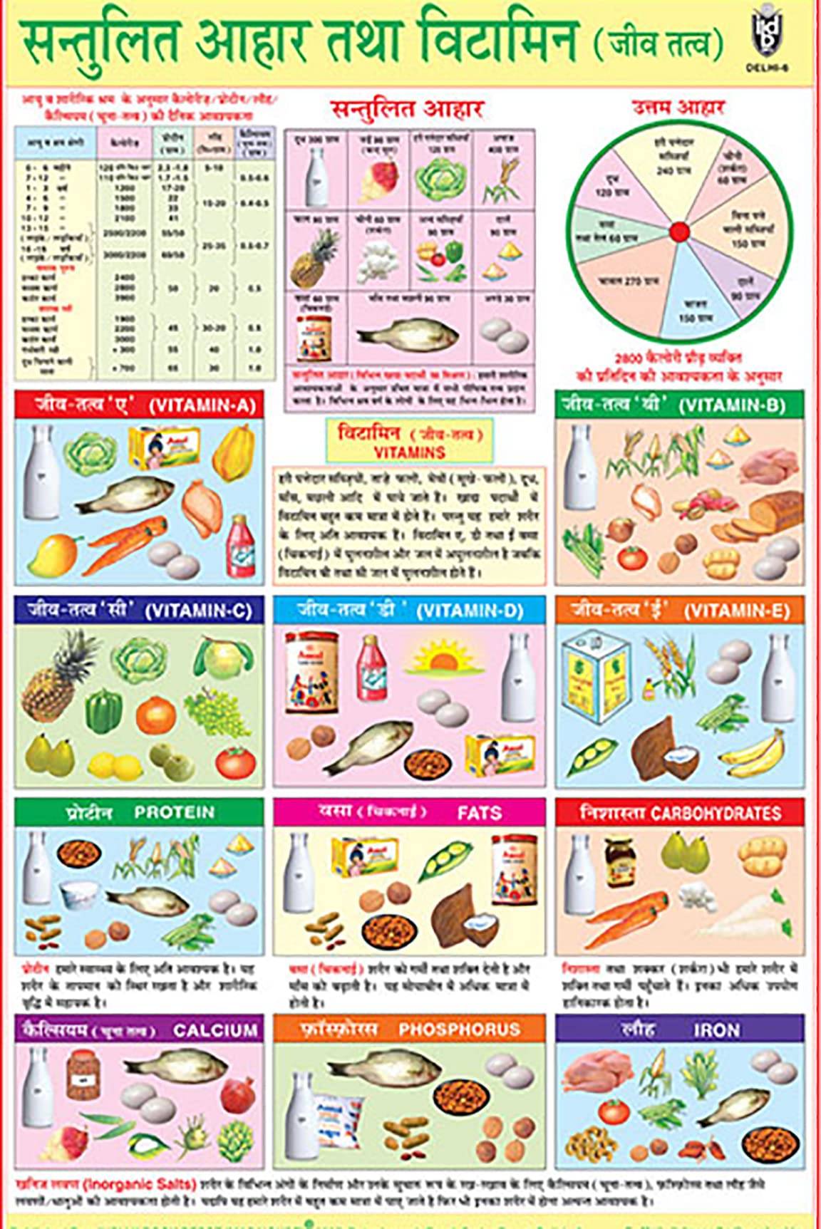 Buy Anagha Balance Diet And S Chart ENG HINDI Laminated Chart For buy-anagha-balance-diet-and-s-chart-eng-hindi-laminated-chart-for