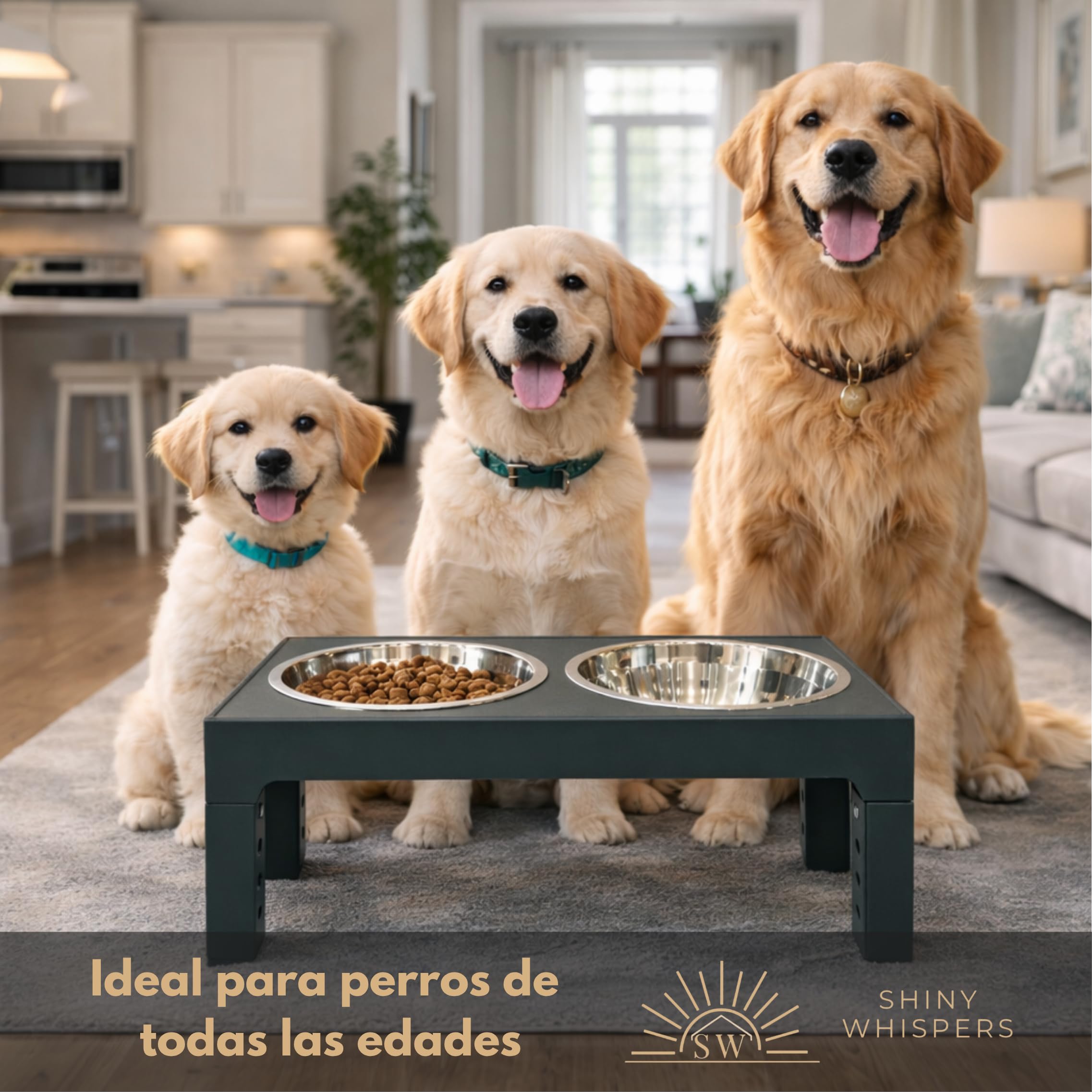 Shiny Whispers Comedero Perro Elevado de 5 Alturas Ajustables, 2 X 1200ml. Bebedero Antigoteo de Acero Inoxidable, 2 Cuencos Elevados para Perros Pequeños, Medianos y Grandes, Gris