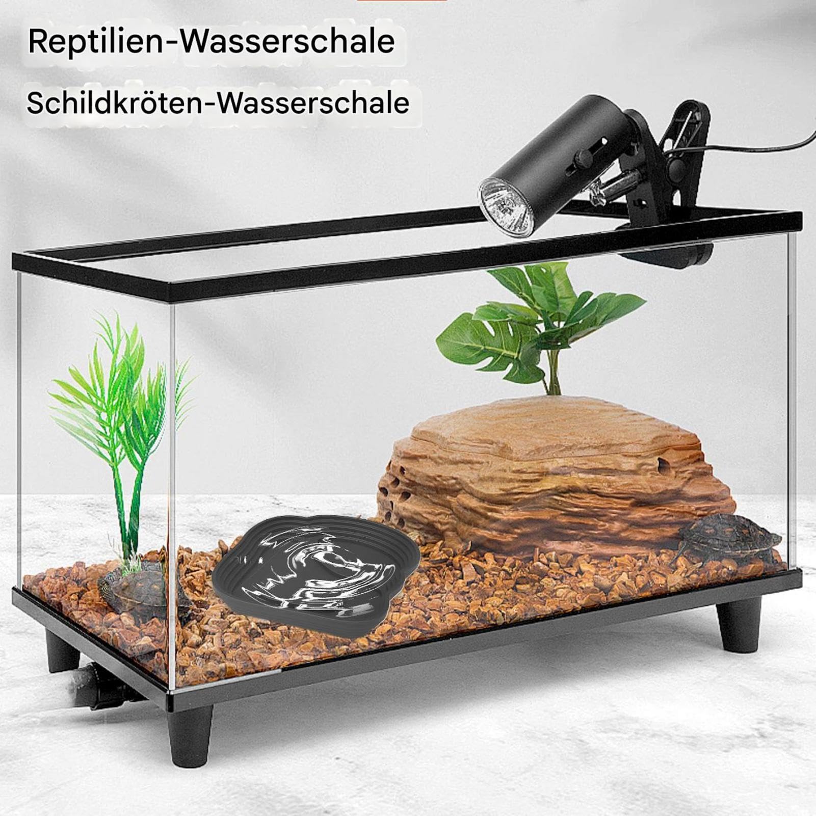 Reptilien-Badebecken Mit Landezone - Perfektes Terrarium Für Schildkröten, Geckos & Schlangen