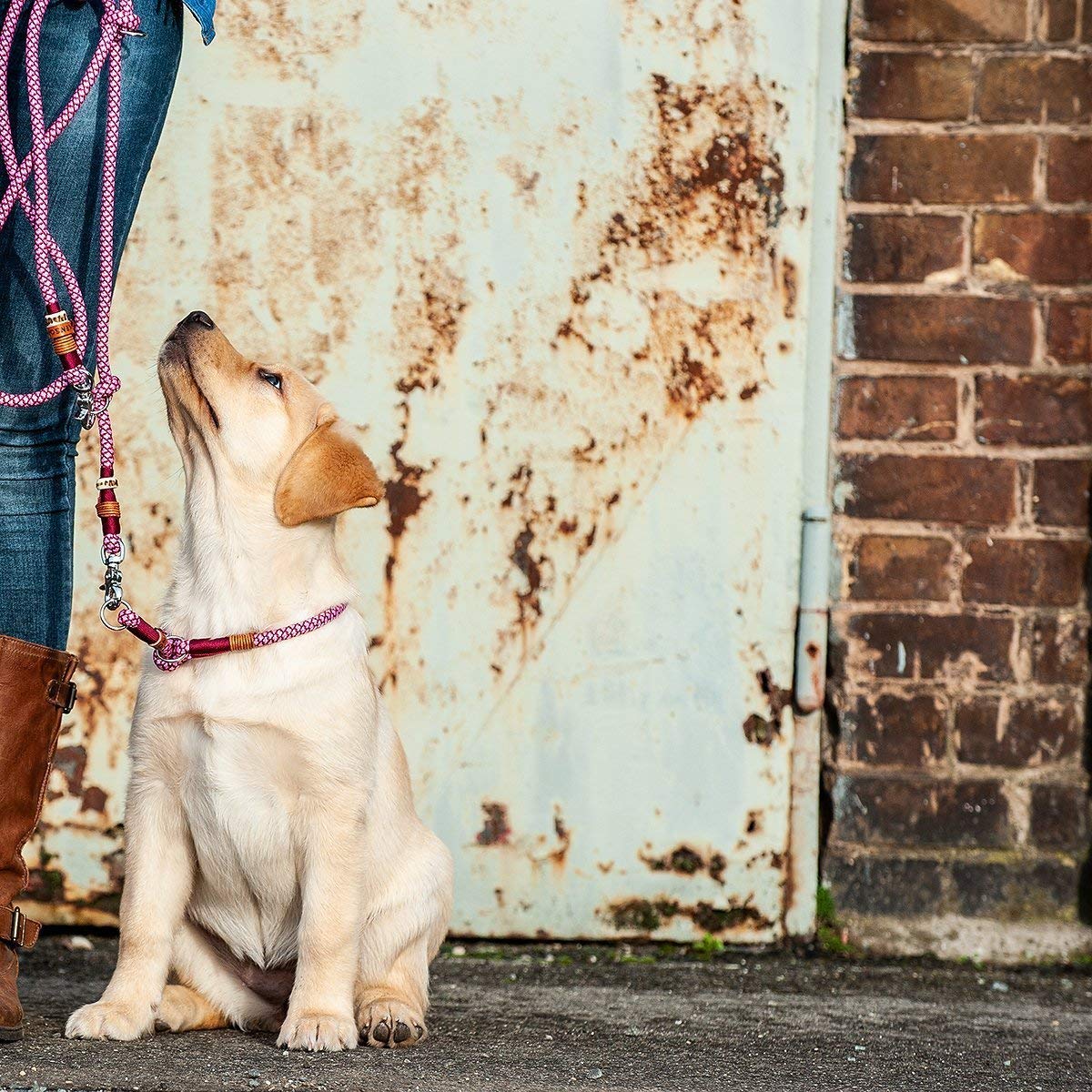 Hundeleine/Führleine aus Tau mit Karabiner & echtem Hirschhorn Ø10mm | 3fach verstellbar | Doppel-Leine | Umhängeleine | robust & wetterfest | Top Handmade-Quality