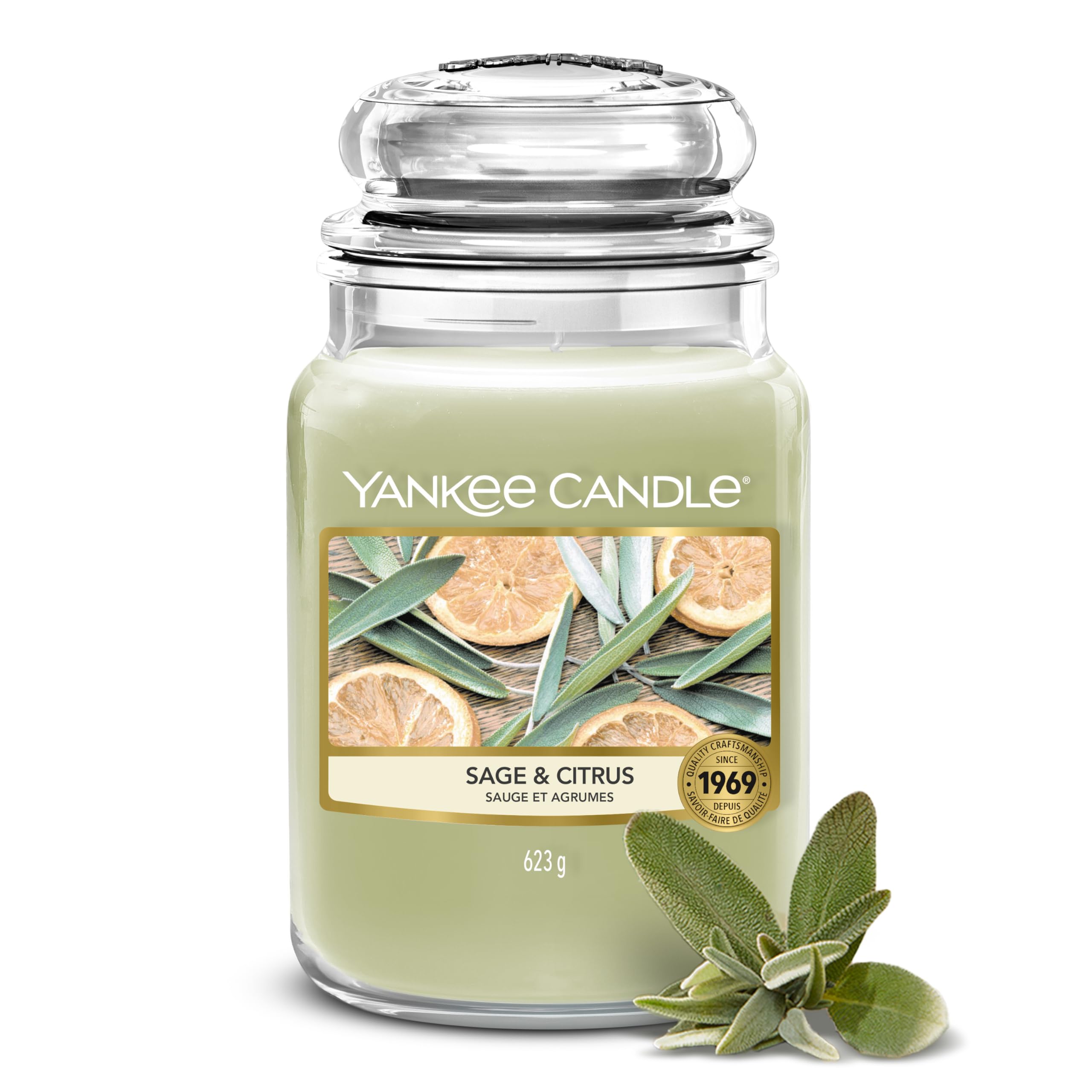 Yankee Candle Bougie parfumée | Sauge & Agrumes Grand Pot | Bougies longue durée : jusqu'à 150 heures | Cadeaux parfaits pour femmes