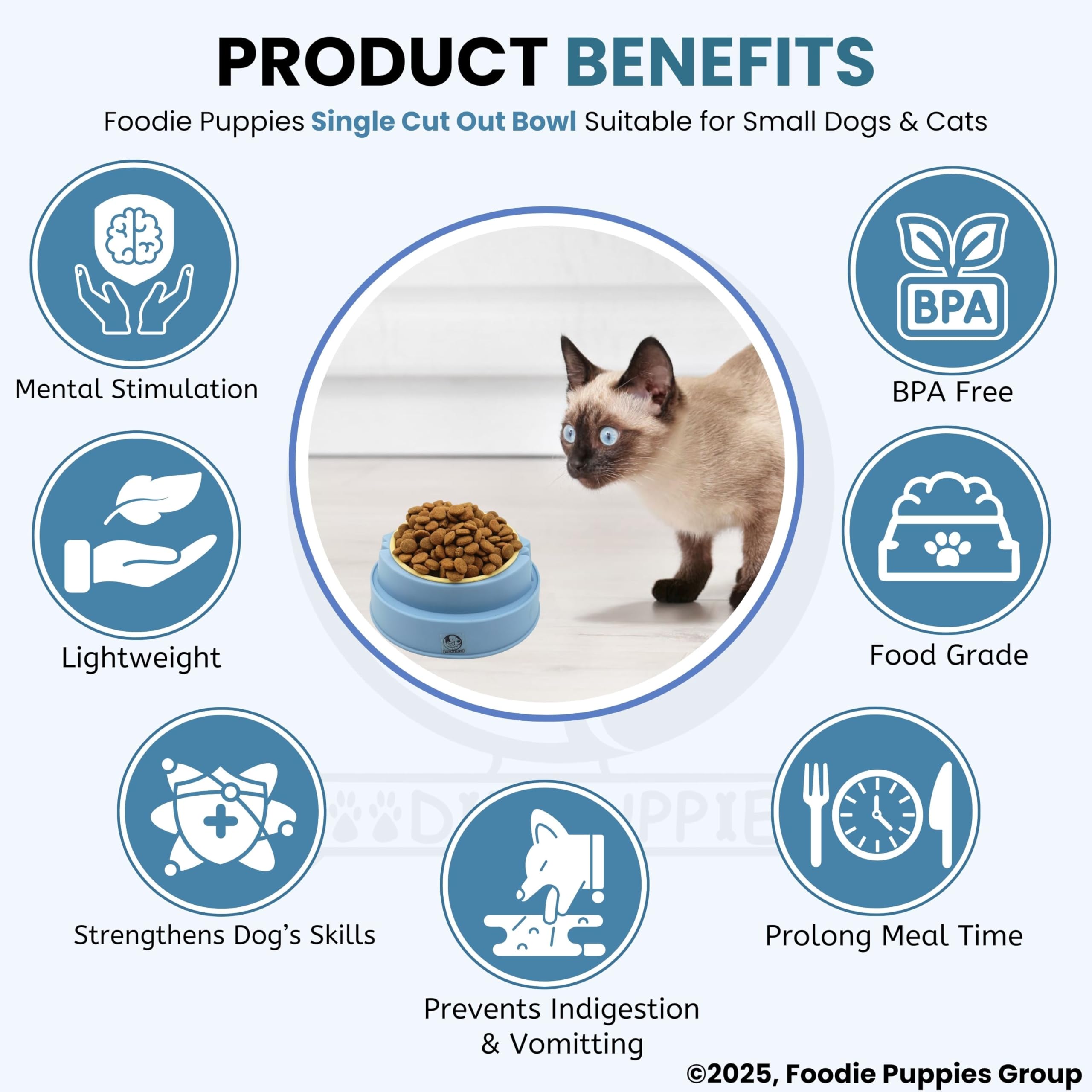 Foodie Puppies Cat Food Bowl, Tilted Food or Water Bowl for Cats and Small Dogs - (Single CutOut Bowl, 350ml), Anti Vomiting, Healthy Cat Bowl for Persian Cat Prevent Tipping Over Plastic Feeding Bowl 3