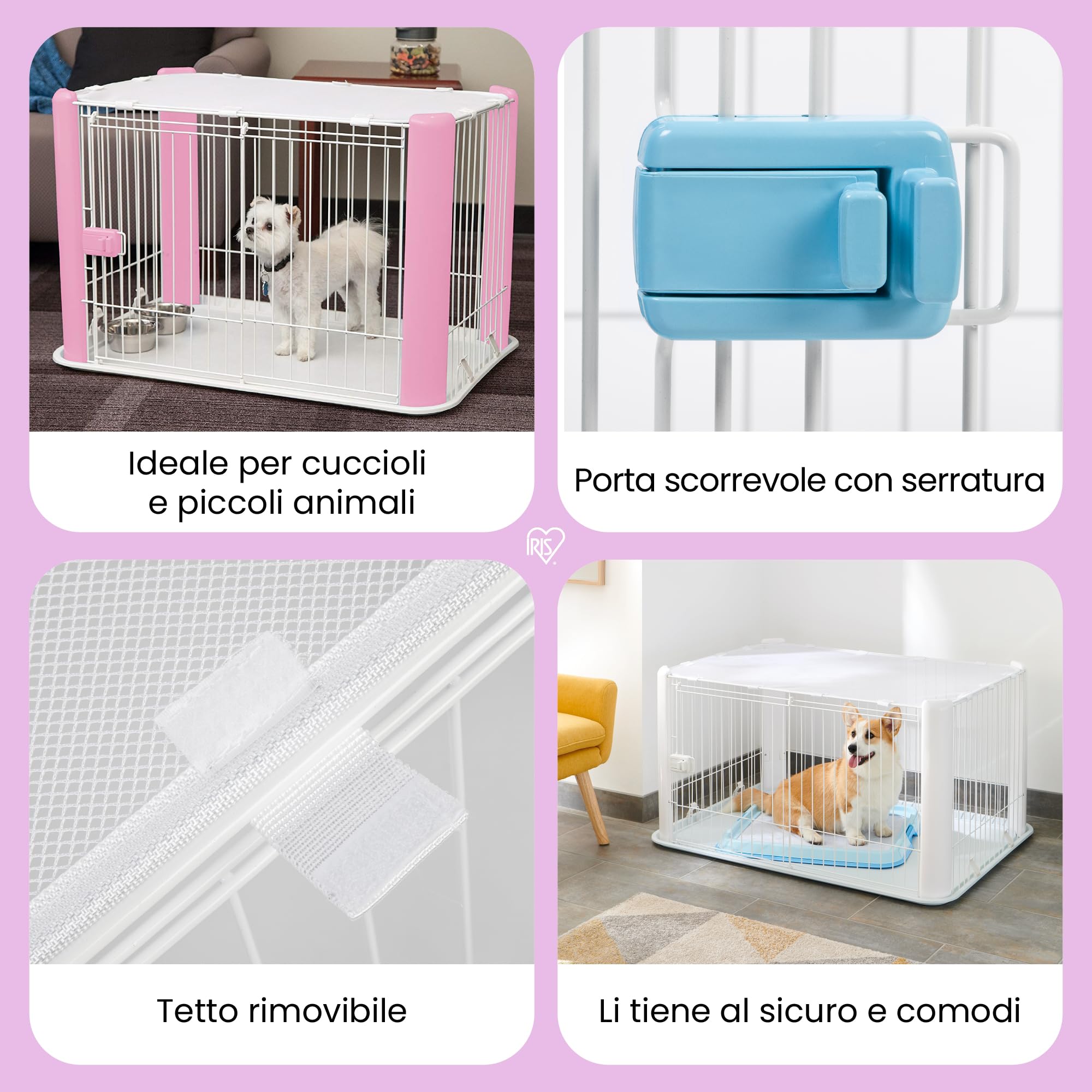 Iris Ohyama, Box, Cassa per cani, Coniglio, Porta scorrevole, L113 x P78,8 x H60 cm, CLS-1130, Bianco