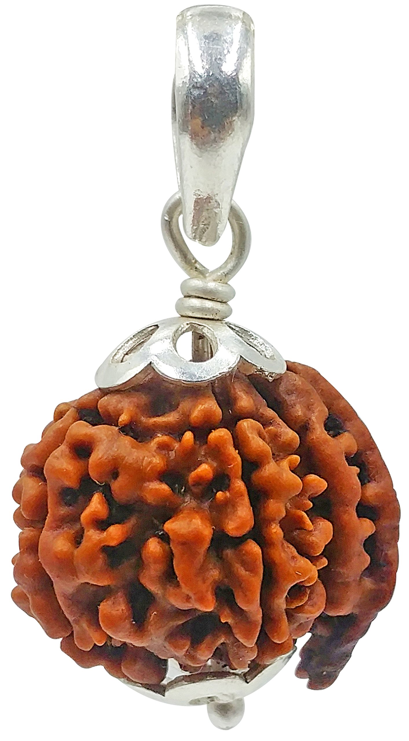 Ganeshji Rudraksha from Nepal, Laboratory Certified, Carefully Capped with Silver & Handmade Tassel, Size 16mm-22mm, Color-Brown-image-39