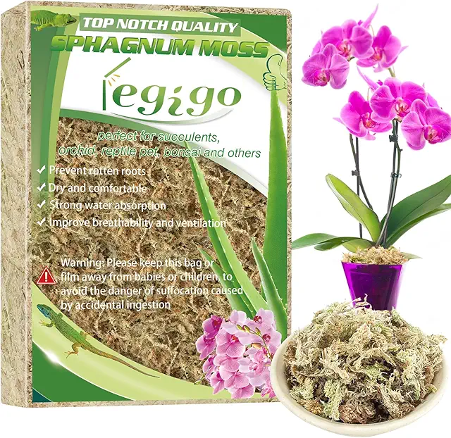 Orchid Moss Growing Medium