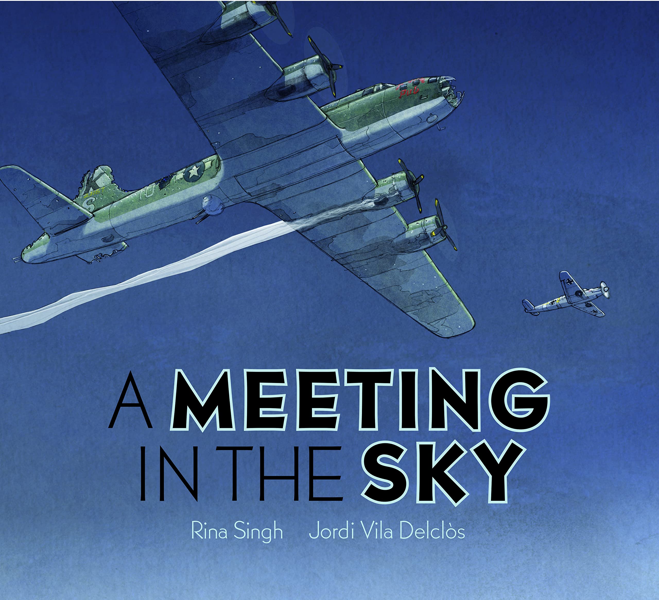 Rina Singh A Meeting in the Sky Children's Fiction Book