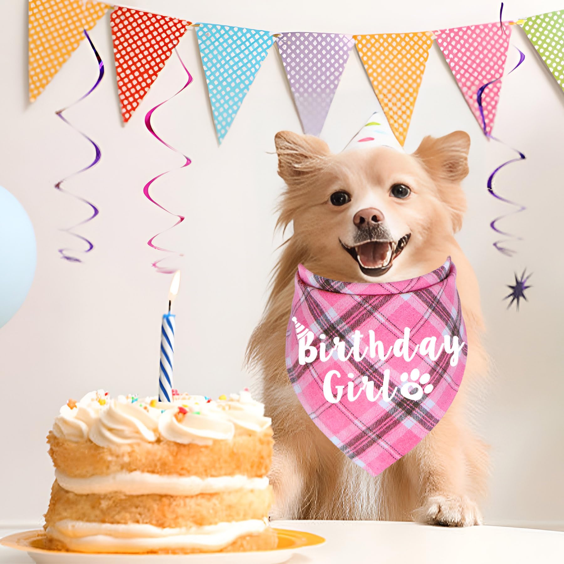 Süßes Hundebandana "Birthday Girl" – Weiches Halstuch Für Geburtstagsfotos & Alltag