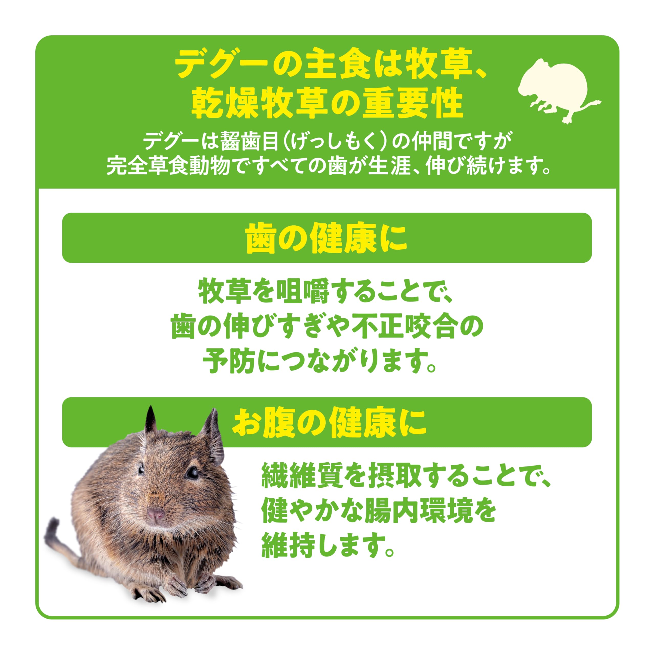 GEX ジェックス デグープレミアムフード シンバイオティクスブレンド