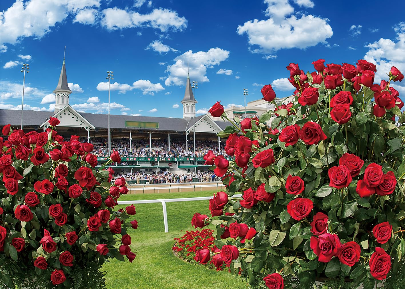 Kentucky Photo Backdrop Run for The Roses Decoration Background for Horse Racing Theme Party Indoor Outdoor Decoration Background (10X8FT(120X96inch))