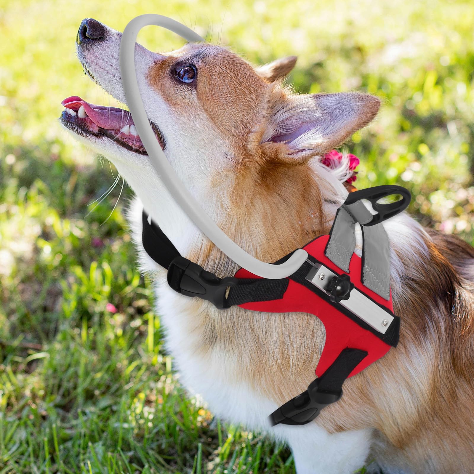 ULTECHNOVO Collier pour Chien Aveugle Rouge en Polyester Léger Protection Anti-Collision et Facile à Utiliser pour Navigation Extérieure Sécurisée