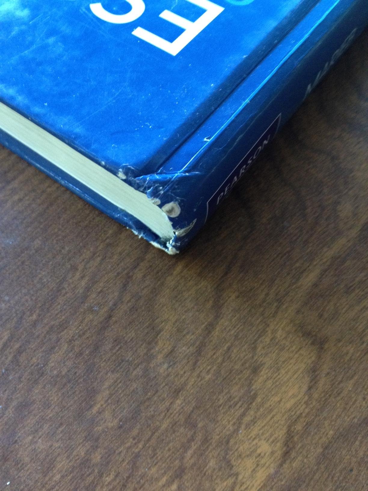 Essentials of Human Anatomy and Physiology - Image 5