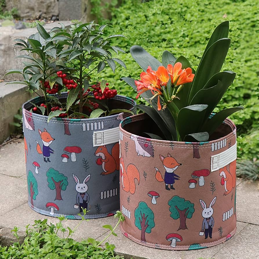 Ａ【蕾付き】デッドストック♡綾♡ブルーローズ／芽接ぎ苗／5号ロングスリットポット I【蕾付き】デッドストック♡綾♡ブルーローズ／芽接ぎ苗／5号