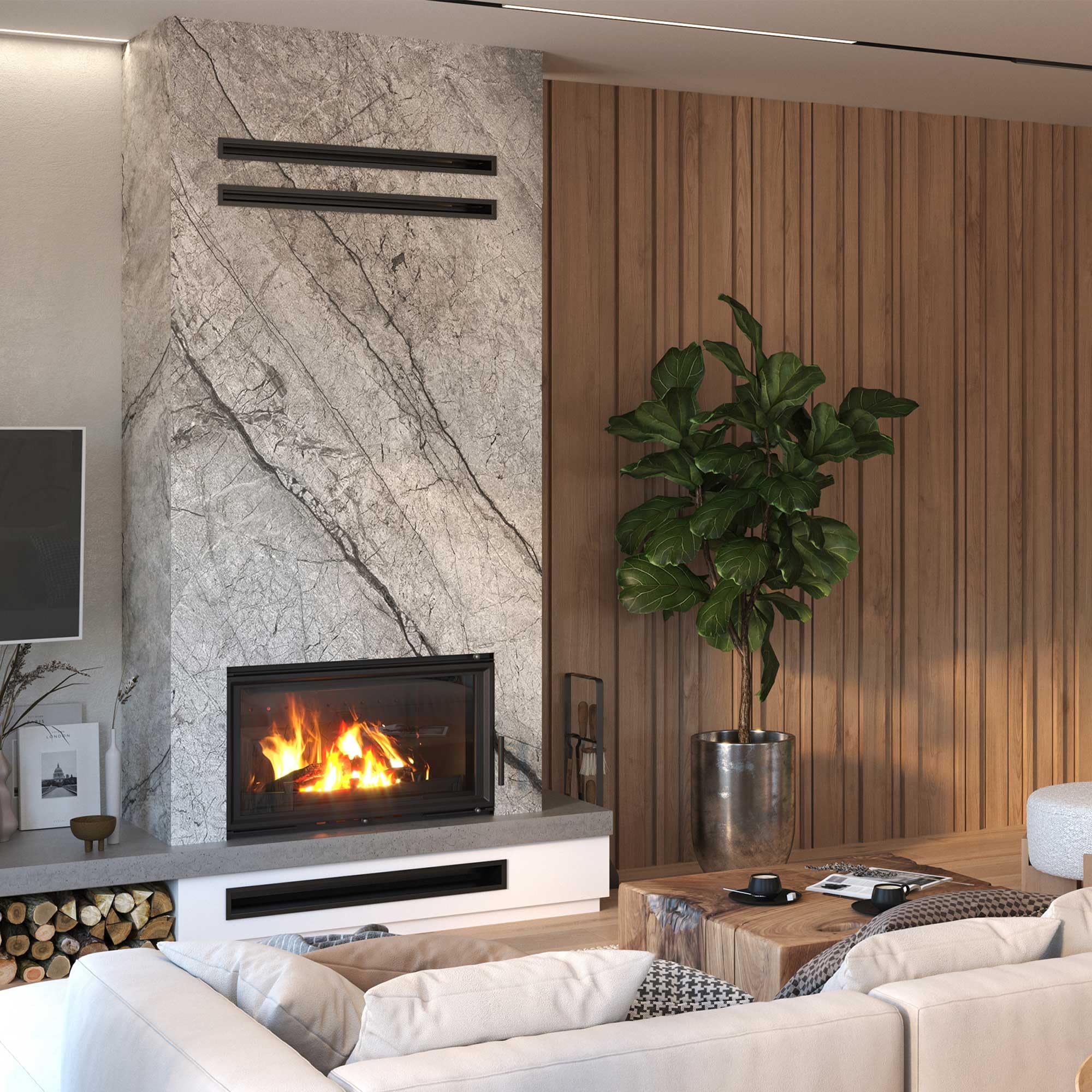 Insert en fonte pour cheminée à bois W15 16,3 kW ECO