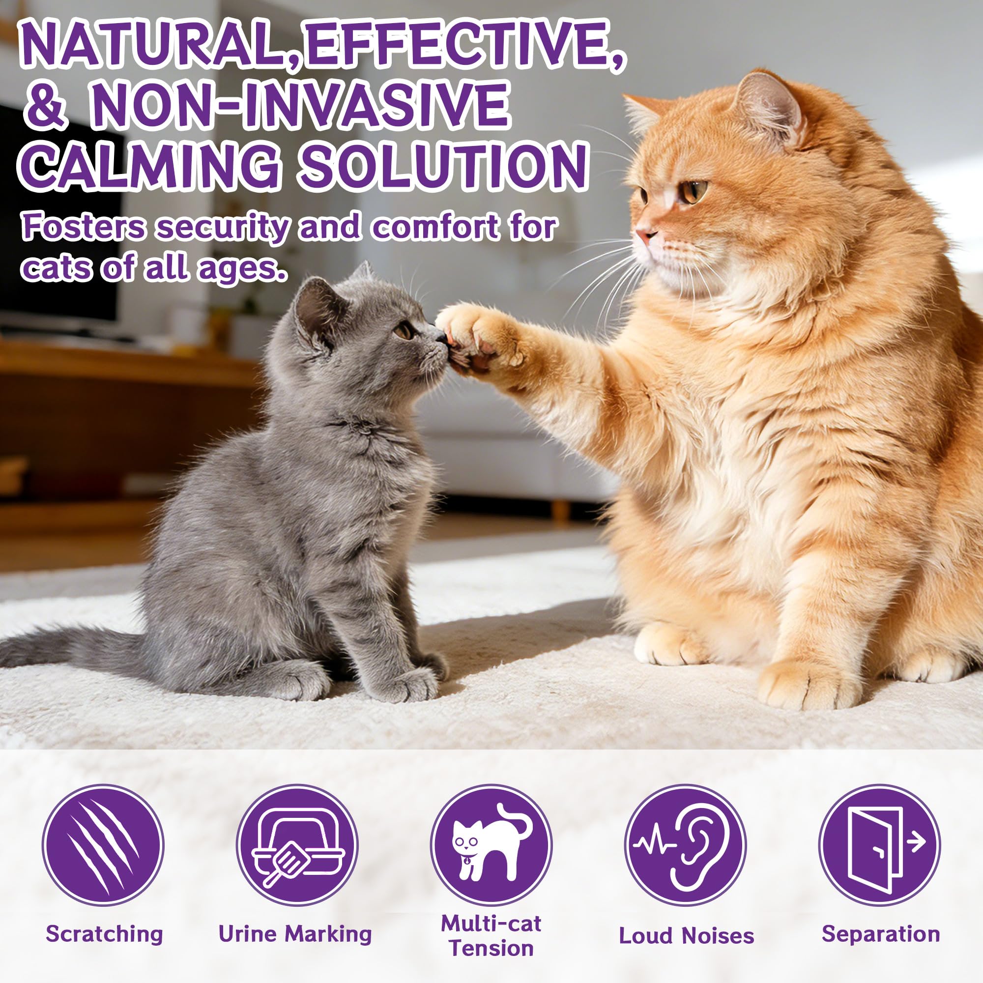 6-IN-1 Katze Pheromon Beruhigende Diffusor (2 Stecker + 4 Refills), Pheromon Diffusor für Katzen, Angst lindern, Helfen, Kämpfe zu reduzieren, Sprühen & Kratzern, Drogenfrei & Geruchlos Sicher 120 Tag