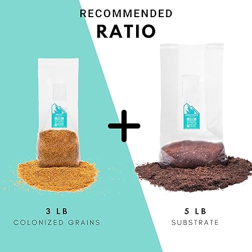 Miniatura 5 de Bolsa de cultivo de sustrato orgánico de hongos, 5 libras, filtro doble de 0.5 micras, pasteurizada, para hongos amantes del estiércol y los granos,